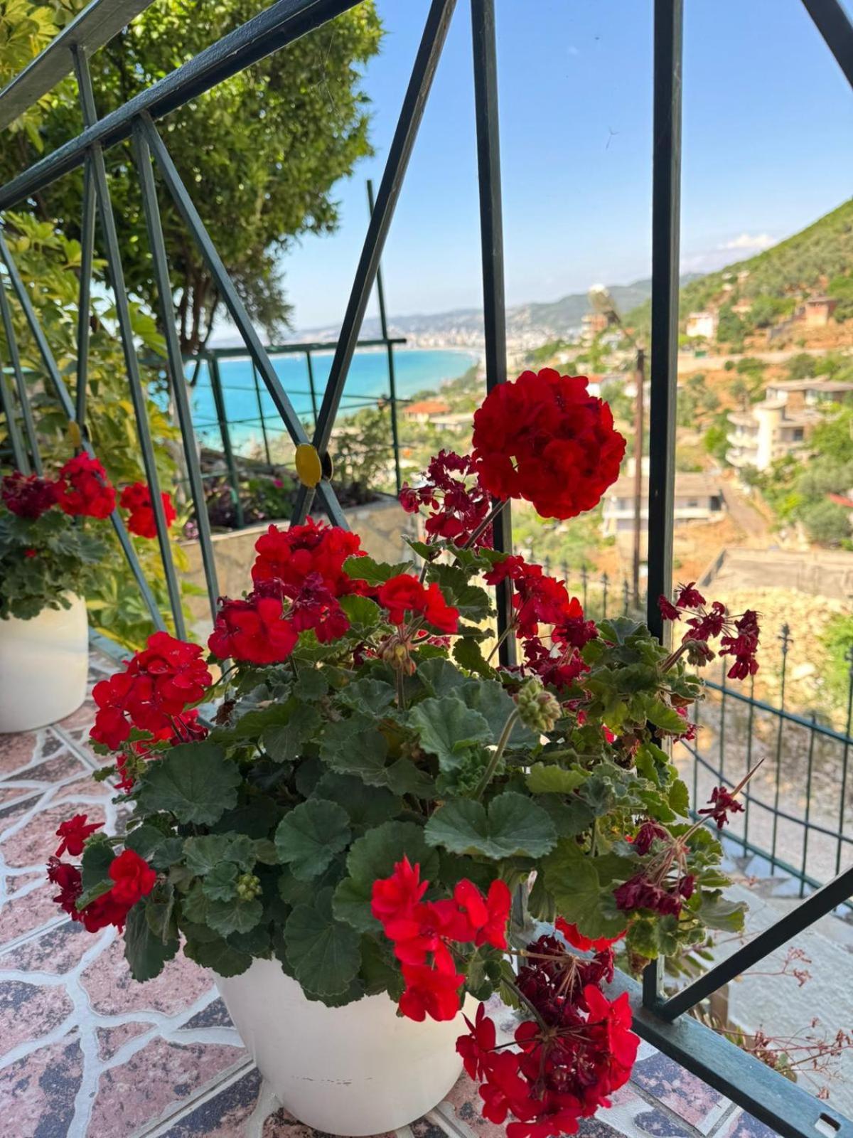 Mesaiz Wlora